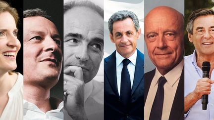 Les sept affiches des candidats à la primaire à droite (MONTAGE ROBIN PRUDENT / FRANCEINFO)