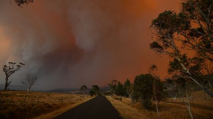 Incendie à&nbsp;Braemar Bay, en Nouvelle-Galles du Sud, le 4 janvier 2020.&nbsp;Des dizaines de milliers d'Australiens ont évacué leur domicile pour fuir les feux de forêt qui frappe tout le sud-est du pays et qui sont aggravés par des conditions météorologiques catastrophiques. (SAEED KHAN / AFP)