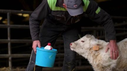 Colère des agriculteurs : les mesures de l'exécutif jugées insuffisantes