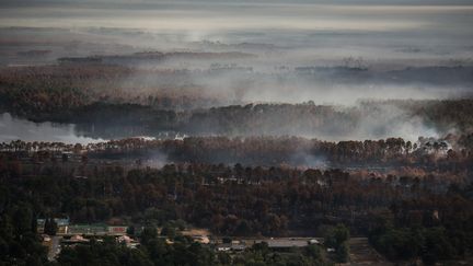 Vu aérienne de la forêt, près de Landiras, le 29 juillet 2022. La forêt fume encore, alors que les flammes&nbsp;sont éteintes. (THIBAUD MORITZ / AFP)