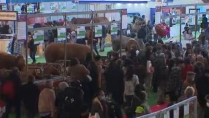 Salon de l’agriculture : le visiteurs de retour pour l'événement (FRANCE 3)