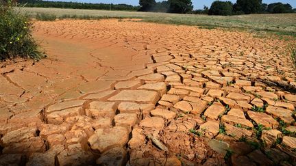 Une rivière à sec, à&nbsp;Louplande (Sarthe), le 22 août 2018. (JEAN-FRANCOIS MONIER / AFP)