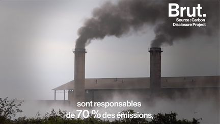 Aucun article du projet de loi climat du gouvernement ne porte sur la responsabilité climatique des entreprises. Pour certains, c'est une occasion manquée...