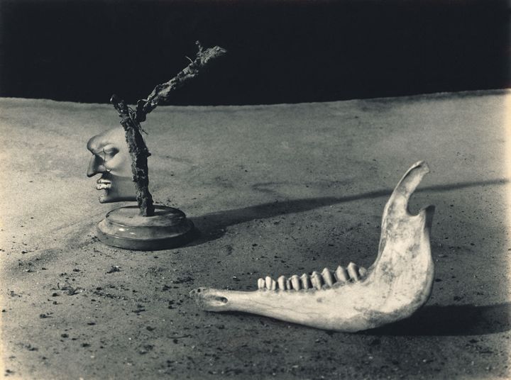 Joan Fontcuberta, "L'Artiste et la photographie, Suite Portlligat", Narcesse sodomisé par une mâchoire repentante, 1959, tirage gélatino-argentique
 
 (Joan Fontcuberta)