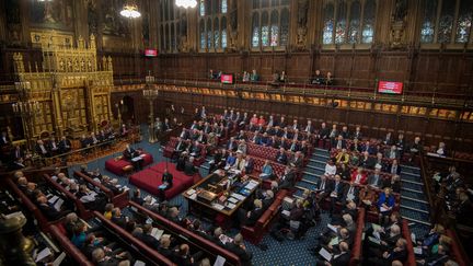 La Chambre des lords, à Londres, photographiée le 20 février 2018. (REUTERS)