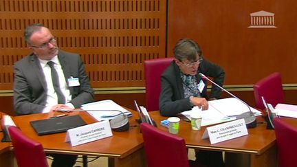 La procureure générale de Paris, Catherine Champrenault, lors de son audition devant la commission d'enquête de l'Assemblée nationale sur l'indépendance de la justice, le 2 juillet 2020. (CAPTURE D'ECRAN FRANCEINFO)