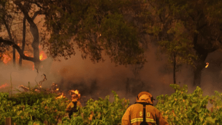 Climat : la géographie des vins chamboulée par le réchauffement climatique (France 2)