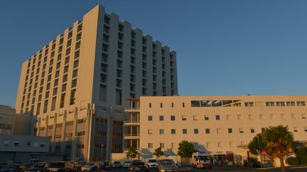 L'hôpital Trousseau, à Tours (PASCAL MONTAGNE / HANS LUCAS)