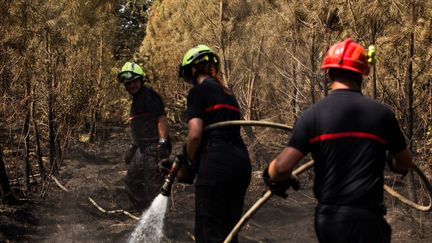 Des pompiers en action pour éteindre les incendies qui ont ravagé la Gironde, à Landiras, le 21 juillet 2022. (LAURENT PERPIGNA IBAN / HANS LUCAS / AFP)