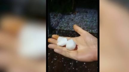 Lundi 27 juin, les habitants du Grand Est ne peuvent que constater les dégâts. La veille, au soir, un orage de grêle a frappé le territoire.&nbsp; (FRANCE 3)