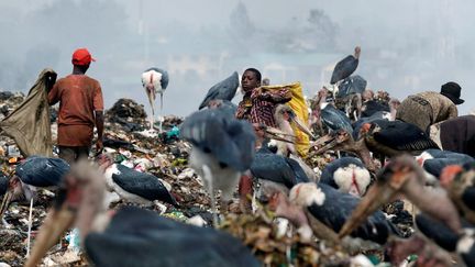 Selon la dernière étude sanitaire (menée par le PNUE (Programme des Nations Unies pour l'environnement) en 2007, il y a déjà 10 ans), les enfants ont une concentration excessive de plomb dans le sang en raison d'une exposition à des agents polluants comme des métaux lourds présents dans le sol, l'air et la terre. A cette époque, la moitié des 328 enfants examinés souffraient de maladies respiratoires. De plus, l'un des principaux cours d'eau de la capitale traverse la décharge emportant l'eau souillée en aval à des fins d'irrigation de terrains cultivés ou de consommation. (Thomas MUKOYA / REUTERS)