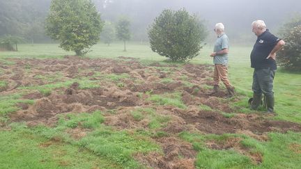 Jean Eveno et Henri Leporho, constatant les dégâts faits par un sanglier dans le jardin d'Henri. (FARIDA NOUAR / RADIO FRANCE)