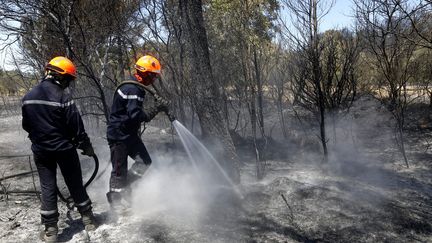 Incendie dans les Bouches-du-Rhône : un mégot à l'origine du feu