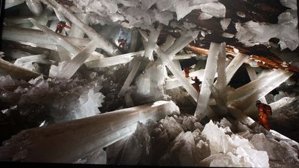 Une grotte remplie de cristaux, le 5 juillet 2010, à Naica, au Mexique, où la Nasa à découvert des micro-organismes vieux, pour certains, de 60 000 ans, piégés dans des cristaux. (FRANCISCO GARCIA / AFP)