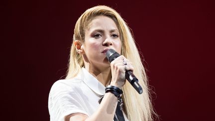 Shakira à Hambourg le 6 juillet 2017
 (Sebwes Images / Sebastian Wesemann / DPA /AFP)