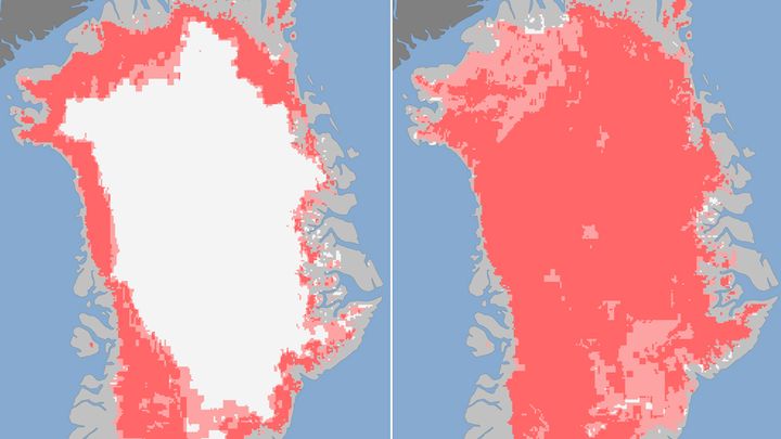 Fonte de la calotte glaci&egrave;re entre le 8 et le 12 juillet 2012, observ&eacute;e par des satellites de la Nasa. En rose fonc&eacute;, les zones de fonte des glaces (d&eacute;tect&eacute;es par deux ou trois satellites). En rose clair, les zones de fonte probable (d&eacute;tect&eacute;es par au moins un satellite). (NASA / AFP)