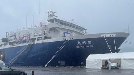 Le "Kangei Maru" est le premier navire amiral baleinier construit au Japon en 73 ans. (KARYN NISHIMURA / RADIOFRANCE)