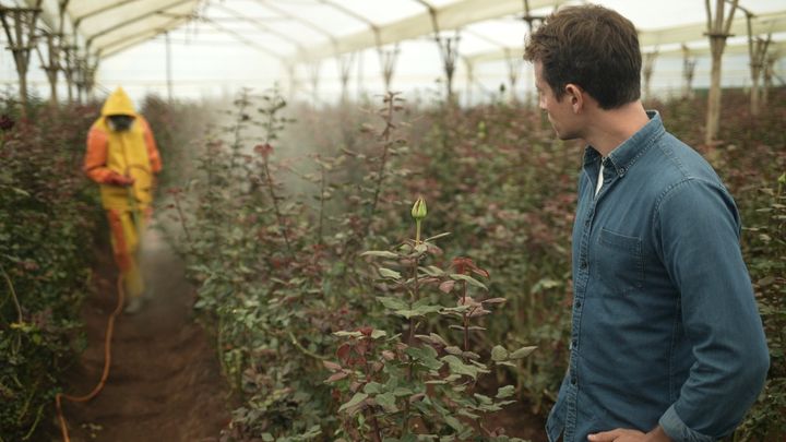 Pulvérisation de pesticides dans une unité de production de roses en Éthopie. (ISABELLE MORAND / WINTER PROD / RADIO FRANCE / FRANCE INFO)