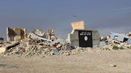 Un bâtiment détruit sur lequel on voit le drapeau noir du groupe Etat islamique, à al-Alam en Irak, en mars 2015. (THAIER AL-SUDANI / X90151)