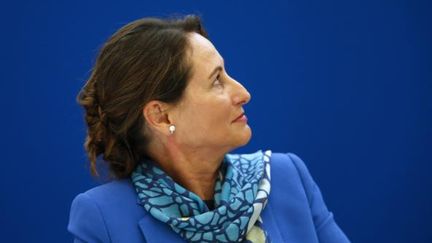  (Ségolène Royal maintient l'objectif de 2014 © REUTERS/Charles Platiau)