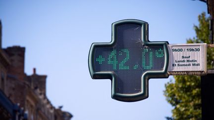 Plus de 42°C&nbsp;ont été enregistrés à Toulouse (Haute-Garonne), le 4 août 2022, pendant une vague de chaleur. (ALAIN PITTON / NURPHOTO / AFP)