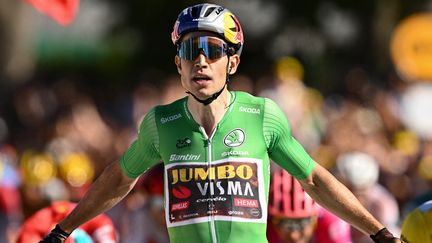 Wout Van Aert, maillot vert, a remporté la huitième étape du Tour de France 2022 entre Dole et Lausanne, samedi 9 juillet. (MARCO BERTORELLO / AFP)