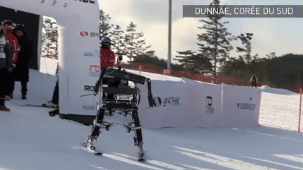 Un robot participe à une coures de descente en Corée du Sud pendant les JO.
 (CAPTURE D'ÉCRAN YOUTUBE)