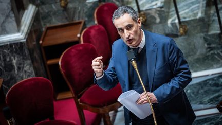 The ecologist deputy of Gironde, Nicolas Thierry, on April 4, 2024 at the National Assembly. (XOSE BOUZAS / HANS LUCAS)