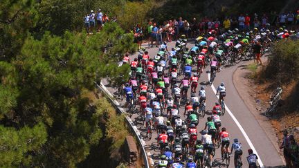 Le peloton en pleine montée sur les routes de la 72e édition du Tour d'Espagne. (DE WAELE TIM / TDWSPORT SARL)