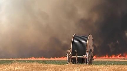 Deux-Sèvres : menace d'incendies avec le début des moissons