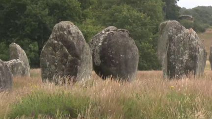 Morbihan : après le confinement, les herbes folles ont poussé entre les menhirs de Carnac (CAPTURE D'ÉCRAN FRANCE 3)