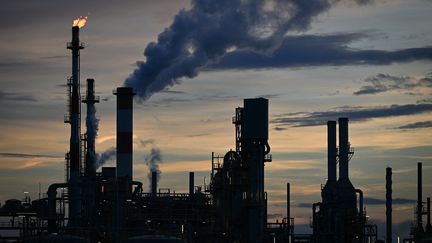 L'usine Butachimie de Chalampé (Haut-Rhin), est classée Seveso. (SEBASTIEN BOZON / AFP)