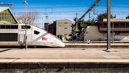 Un TGV en gare de Perpignan (Pyrénées-Orientales), le 11 février 2021. (JC MILHET / HANS LUCAS / AFP)