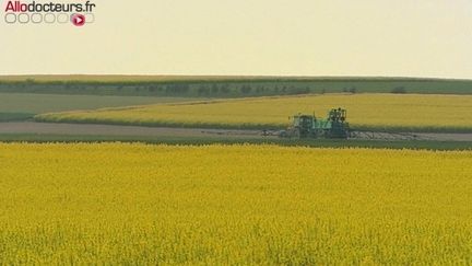 Les pesticides seraient responsables de 2% des maladies professionnelles déclarées chez les agriculteurs