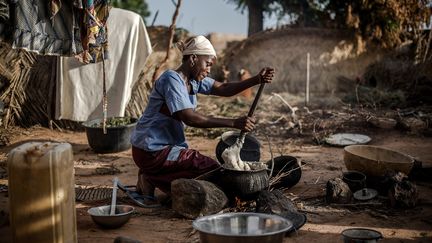 Trois agences onusiennes, FAO, Fonds international de développement agricole (FIDA) et Programme alimentaire mondial (PAM), en collaboration avec le gouvernement du Niger, ont permis d'offrir de nouvelles opportunités aux populations pour nourrir leurs familles et renforcer leurs moyens d'existence. Il s'agit de les rendre plus résilients face aux évènements climatiques extrêmes. (LUIS TATO/FAO/AFP)