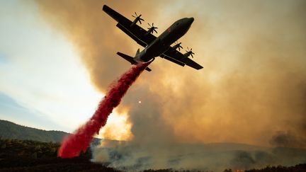 Un avion tente de lutter contre l'incendie du "Mendocino Complex", près de&nbsp;Clearlake Oaks, en Californie (Etats-Unis), le 5 août 2018. (NOAH BERGER / AFP)