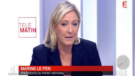 Les 4 Vérités-Marine Le Pen ne veut pas des "statistiques ethniques"