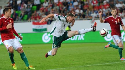 Les Hongrois (maillots rouges) ont perdu 2-1, le 7 septembre 2014, face &agrave; l'Irlande du Nord, &agrave; Budapest (Hongrie).&nbsp; (ATTILA KISBENEDEK / AFP)