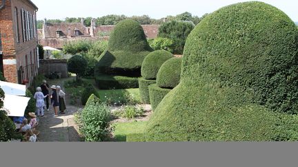 "Chaque jardinier est libre de faire jouer son imaginaire et ses recherches avec l'Art topiaire", souligne Delphine Higonnet, propriétaire du Jardin des Ifs, à Gerberoy dans l'Oise. (LE JARDIN DES IFS / YANN MONEL)