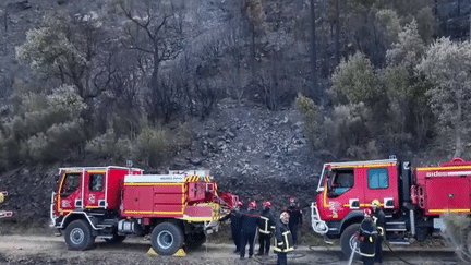 Incendie dans les Pyrénées-Orientales : le feu est maîtrisé mais sous haute surveillance (FRANCE 2)