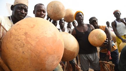 Tous les ans au mois de mars, les communautés d’Argungu et de Sokoto se réunissent près de la rivière Matan Fada dans l'Etat de Kebbi, au nord-ouest du Nigeria, pour participer au festival.&nbsp; (PIUS UTOMI EKPEI / AFP)