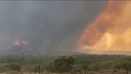 Europe : les incendies et la canicule frappent de nombreux pays