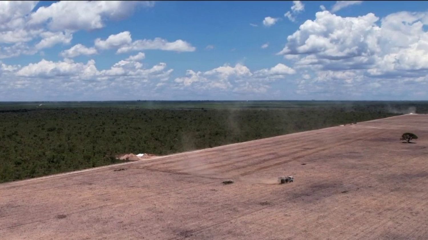 a floresta do Cerrado no Brasil, ameaçada pela produção de soja