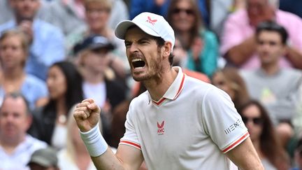 Le Britannique Andy Murray, et sa rage de vaincre lors de son 2e tour à Wimbledon, le 30 juin 2021. (BEN STANSALL / AFP)