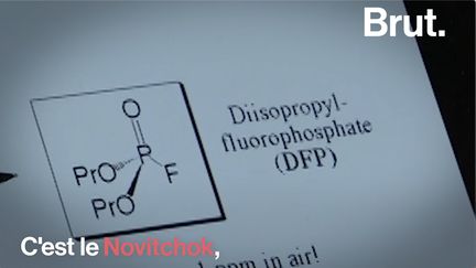 Il serait responsable du coma de l'opposant russe Alexeï Navalny. C'est le Novitchok. Voici l'histoire sulfureuse de l'un des poisons les plus puissants jamais fabriqués.