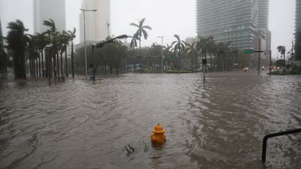 Des inondations à Miami en Floride (Etats-Unis) lors du passage de l'ouragan Irma, le 10 septembre 2017. (STEPHEN YANG / REUTERS)