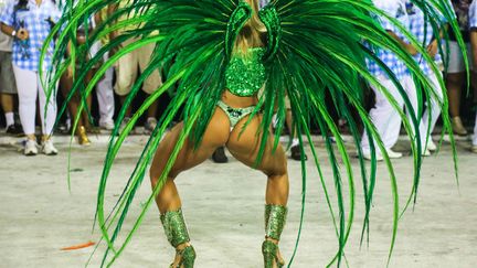 Le carnaval de Rio de Janeiro (Br&eacute;sil), ses &eacute;coles de samba et ses danseuses fort peu v&ecirc;tues, le 12 f&eacute;vrier 2013. (WILLIAM VOLCOV / BRAZIL PHOTO PRESS / AFP)