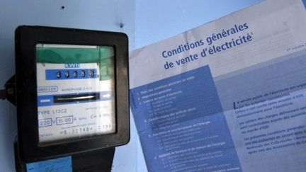 La facture d'électricité des ménages va augmenter du 2,9% à compter du 1er juillet 2011. (AFP - Mychèle Daniau)