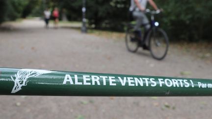 Les parcs de Strasbourg sont fermés dimanche 10 mars en raison des vents violents. (JEAN-MARC LOOS / MAXPPP)