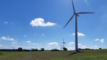 Energie : le secteur de l'éolien progresse en France